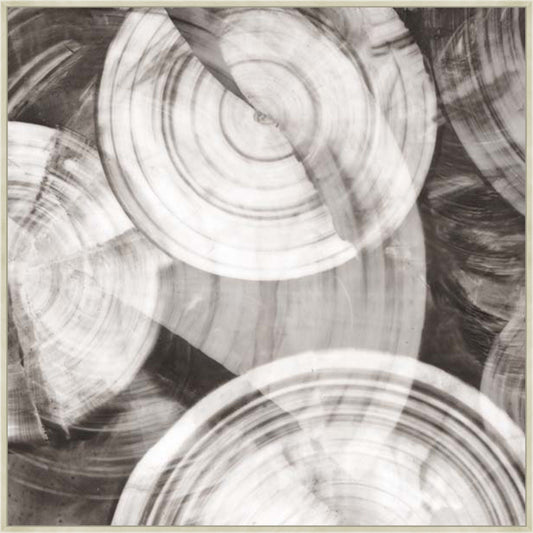 Timeless Rings I in Silver  Grande  on Canvas