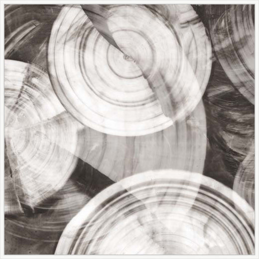 Timeless Rings I in White on Canvas