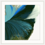 Blue Wings Unfolding In Light Iv W White Frame