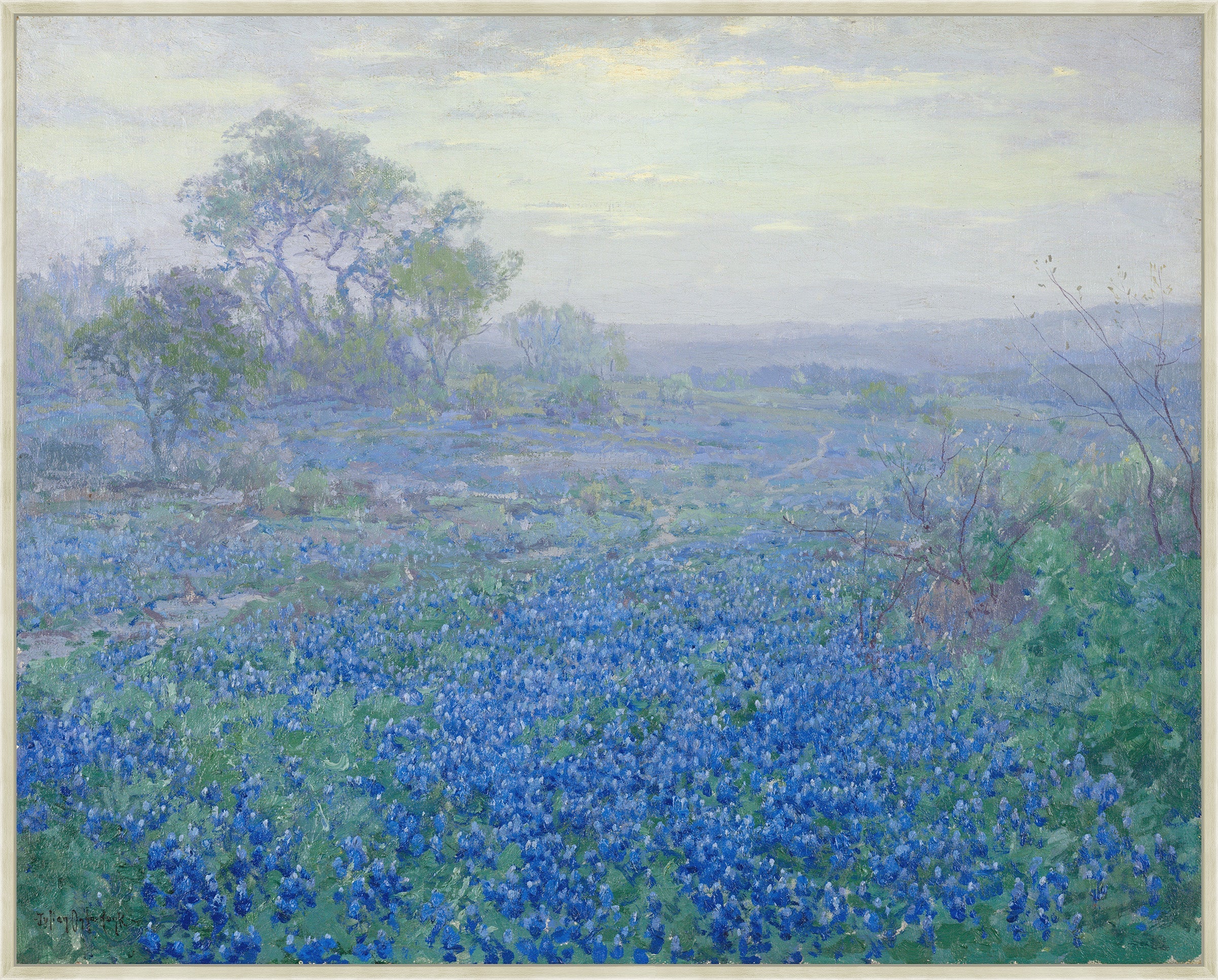 Blue Bonnets on a Cloudy Day on Canvas