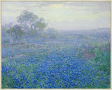 Blue Bonnets on a Cloudy Day on Canvas