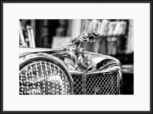 Jaguar