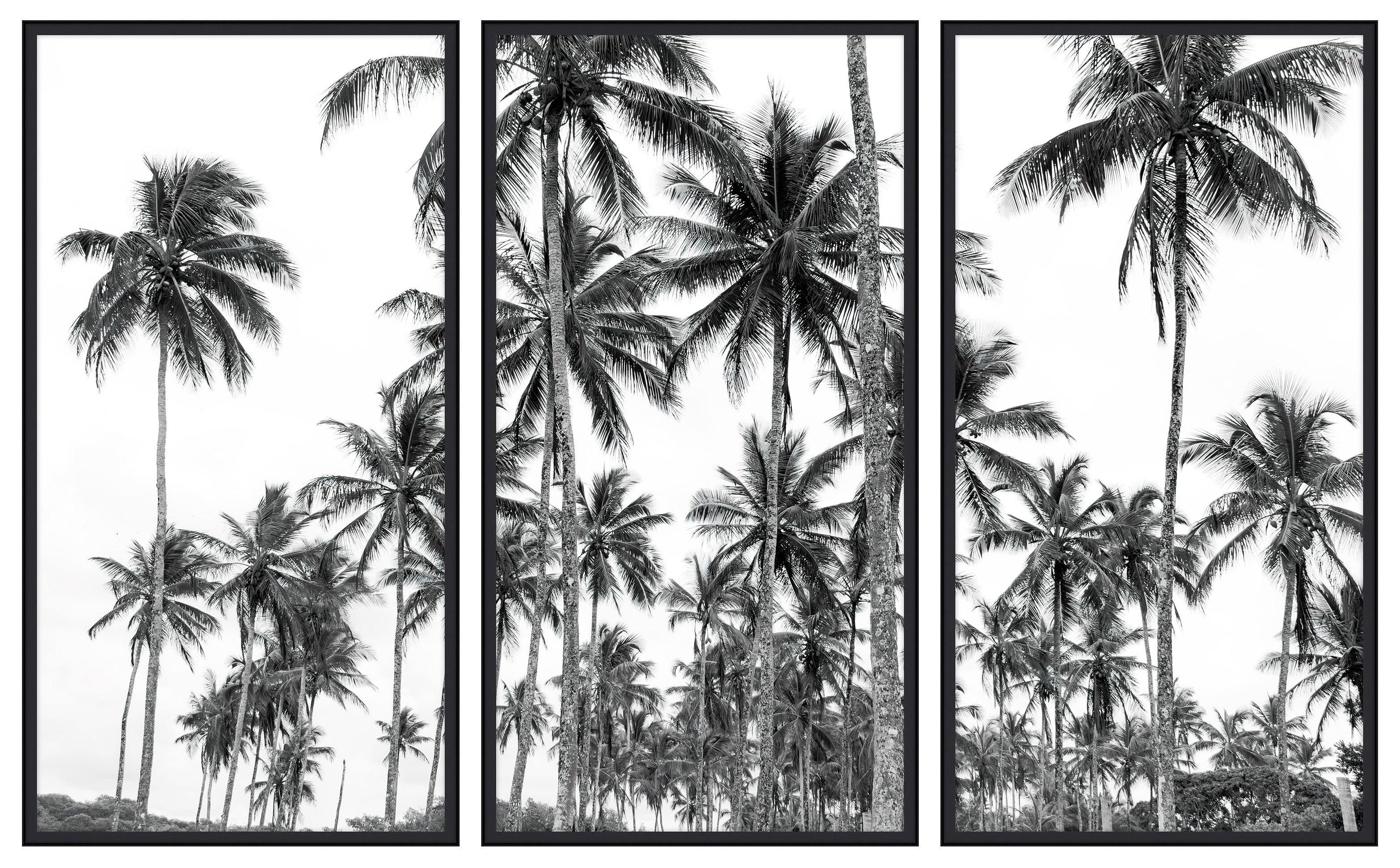 Palm Triptych (set of 3)