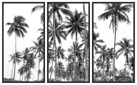 Palm Triptych (set of 3)
