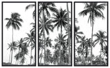 Palm Triptych (set of 3)