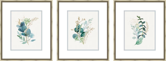 Eucalyptus Cluster, Set of Three