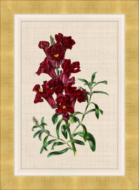 Bijouterie I on Canvas