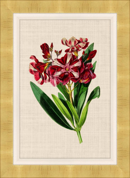 Bijouterie IV on Canvas