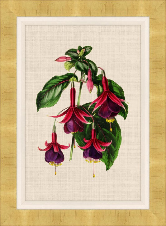 Bijouterie V on Canvas