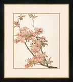 Silk Flower Painting III