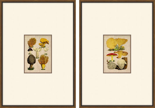 Autumn Mushrooms, Set of Two
