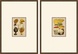 Autumn Mushrooms, Set of Two
