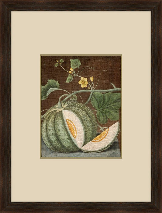 Brookshaw Melon I