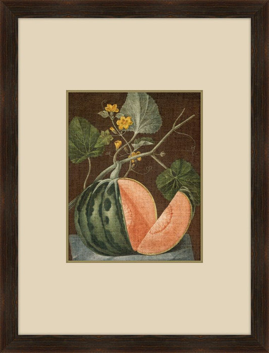 Brookshaw Melon VI