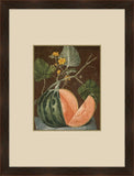 Brookshaw Melon VI