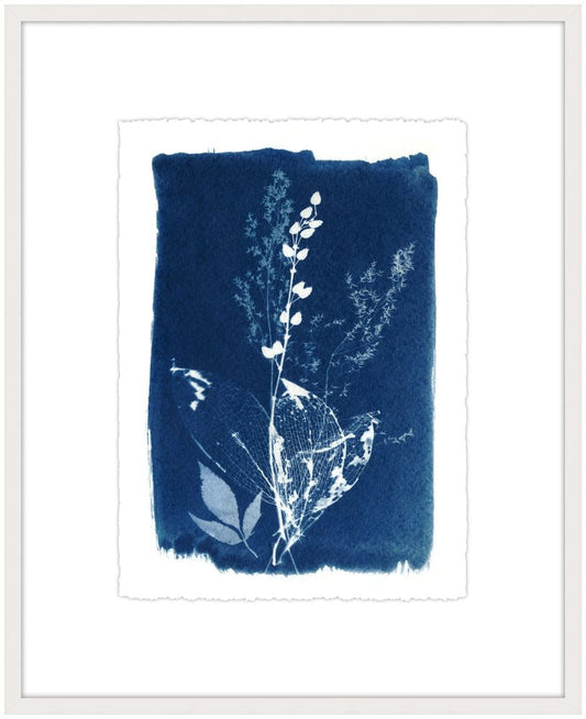 Cyanotype Botanical I