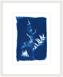 Cyanotype Botanical IV