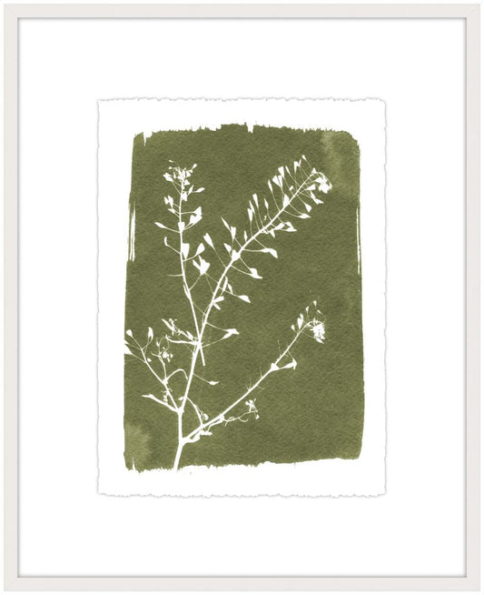 Cypress Botanical II