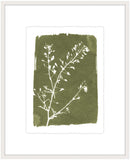 Cypress Botanical II