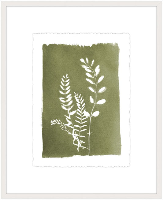 Cypress Botanical III