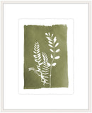 Cypress Botanical III