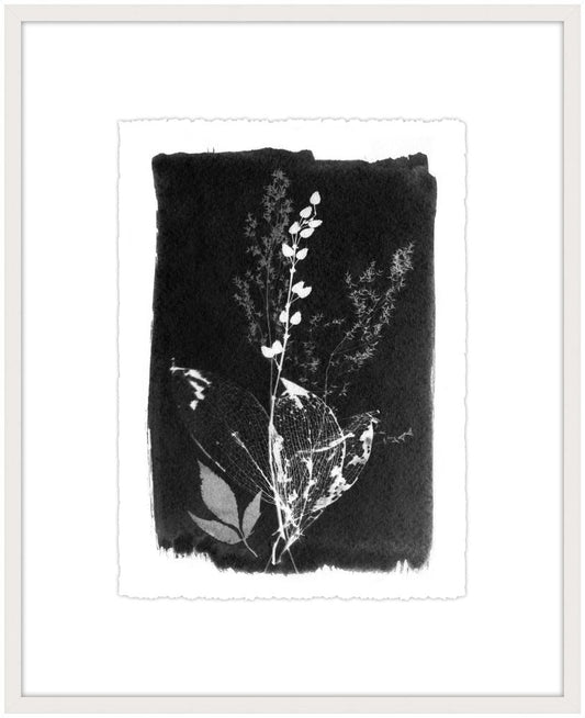 Black and White Botanical I