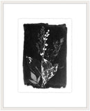 Black and White Botanical I