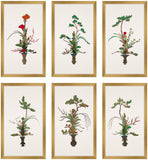 Floral Display, Set of Six