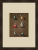 Fruits on Linen  IV