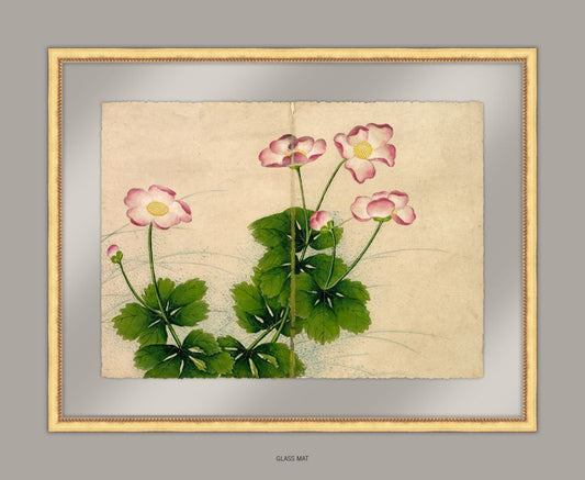 Mallow Flowers, 18th Century, Zhang Ruoai