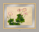 Mallow Flowers, 18th Century, Zhang Ruoai
