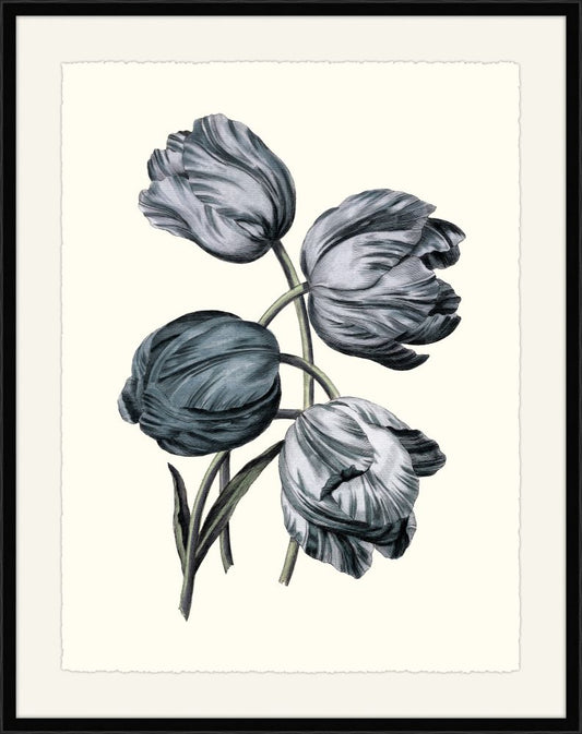 Four Blue Tulips I