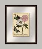 Botanical Postage I