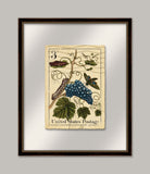 Botanical Postage III