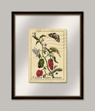 Botanical Postage IV