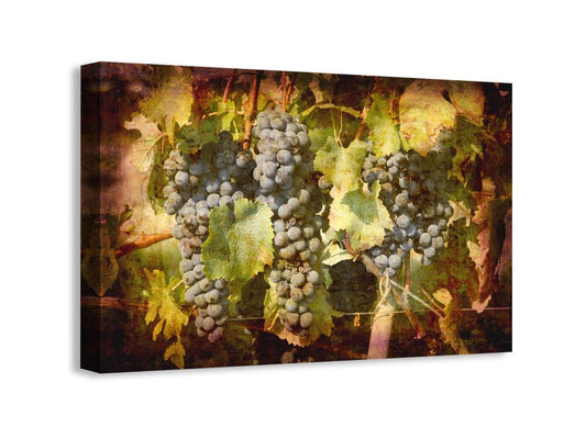 Grapes au Bordeaux I