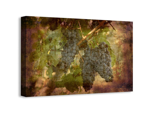 Grapes au Bordeaux III