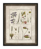 Histoire Naturelle I