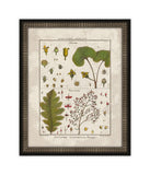 Histoire Naturelle II