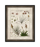 Histoire Naturelle III