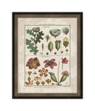 Histoire Naturelle IV