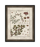 Histoire Naturelle V