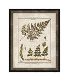 Histoire Naturelle VII