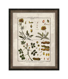 Histoire Naturelle  X