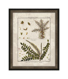 Histoire Naturelle  XI