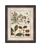 Histoire Naturelle  XII