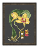 Beautiful Botanical on Black II