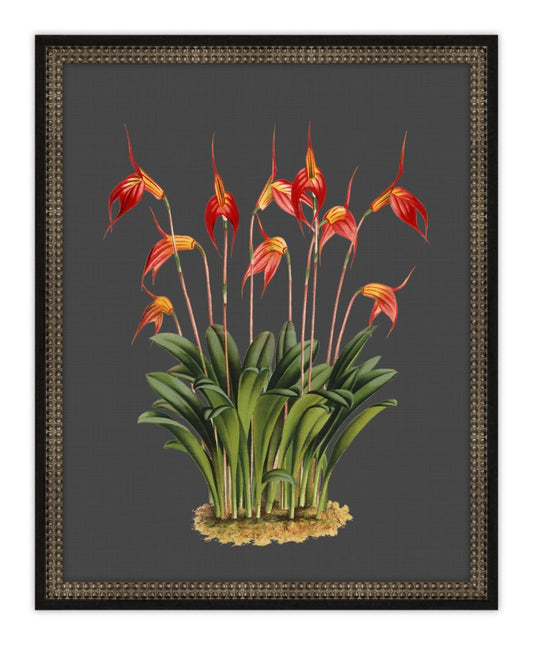 Beautiful Botanical on Black III