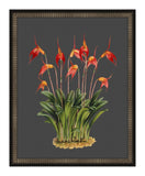 Beautiful Botanical on Black III