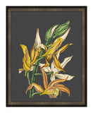 Beautiful Botanical on Black IV